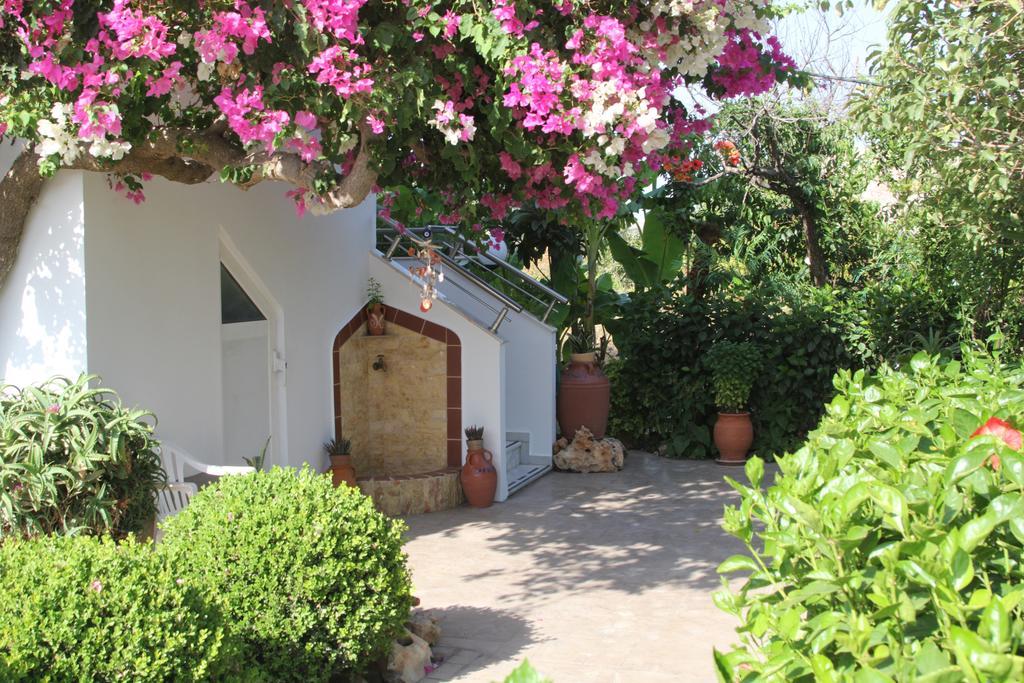 Paul'S Garden Studios Haráki Kültér fotó